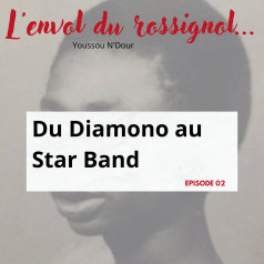 VIGNETTE02bis Du Diamono